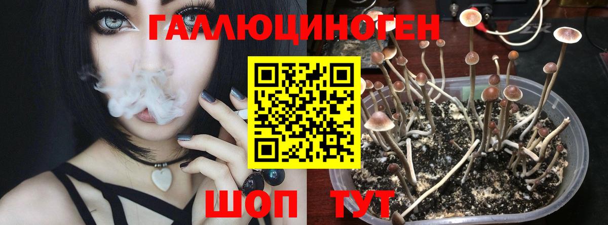 Галлюциногенные грибы мухоморы  Вход с VPN  Галлюциногенные грибы ЛСД  где купить   Соль-Илецк 