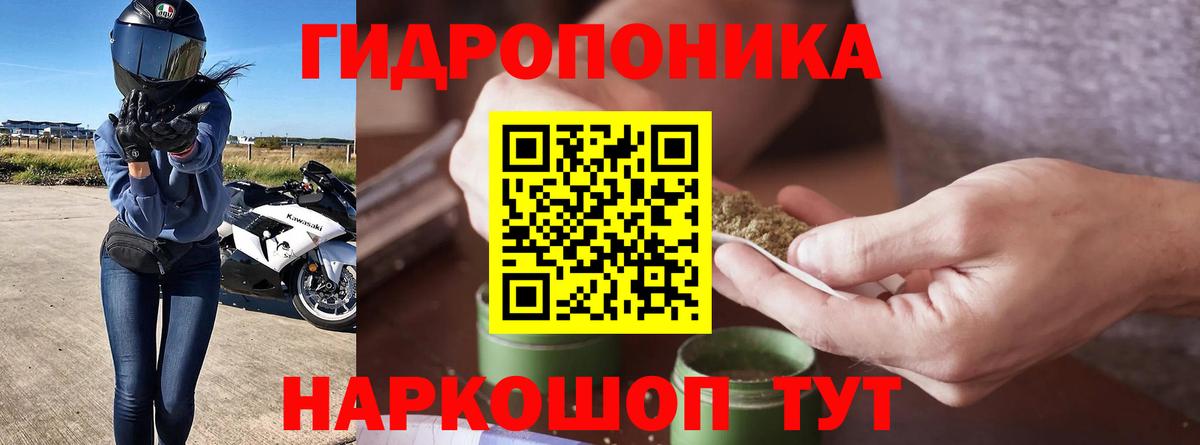 Бошки Шишки VHQ Соль-Илецк